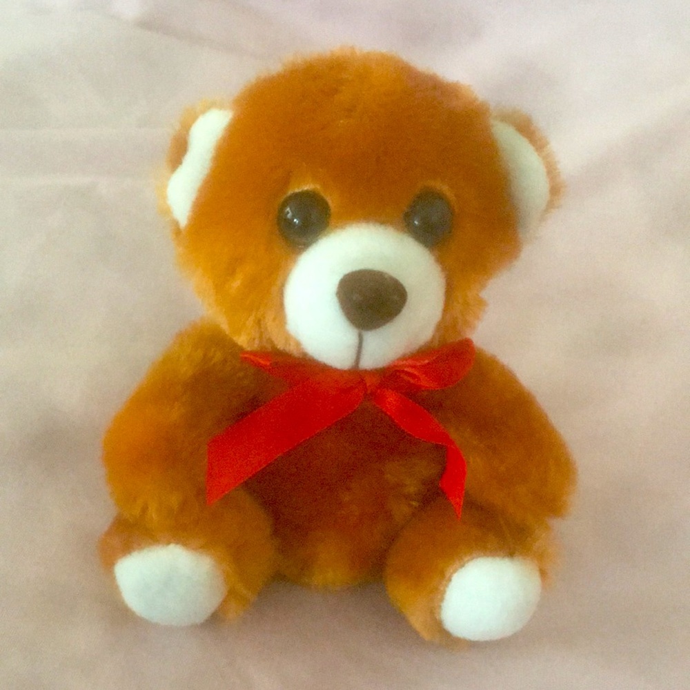 Plush Teddy Bear